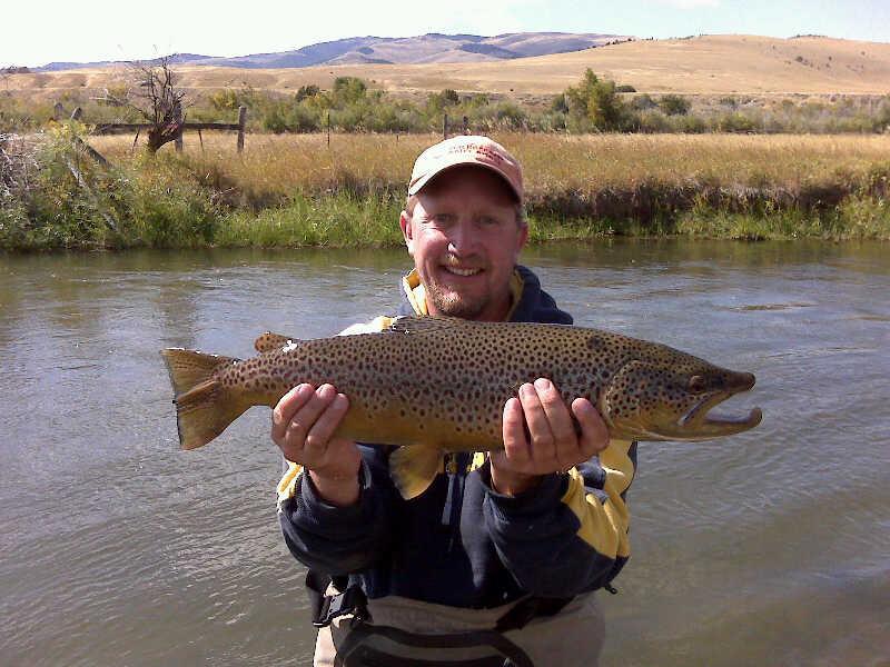 Madison Brown Trout